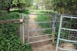 The pathway to Broad Campden