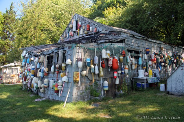 "Crab Alley", Peddocks Island