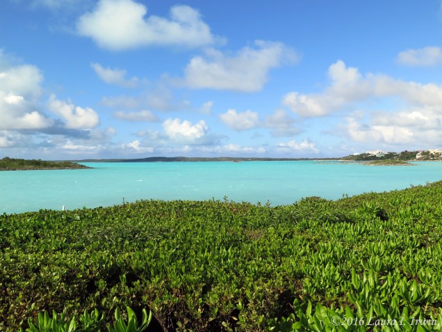 Dinner view from Las Brisas