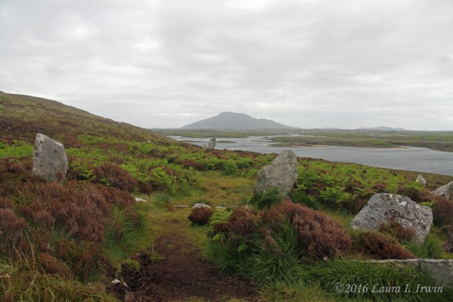Scotland 2016 862