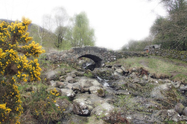 Lake District 2017 734a